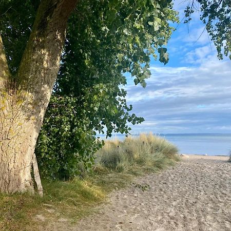 Feriendorf Suedstrand Haus 09 Pelzerhaken Eksteriør bilde